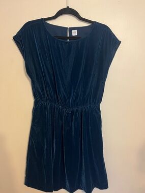 GAP Deep Blue Velvet Short Sleeve Gathered Waist Dress